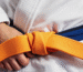 jiu jitsu belt order