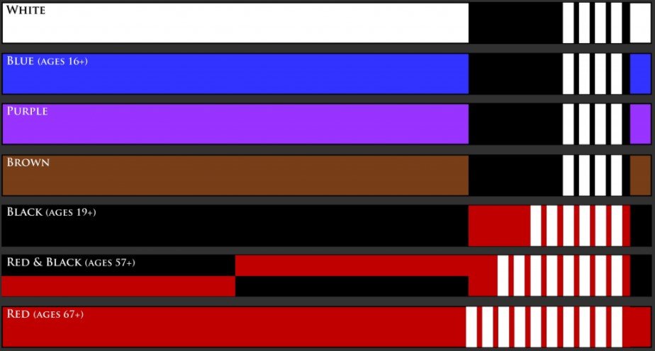 jiu jitsu belt order